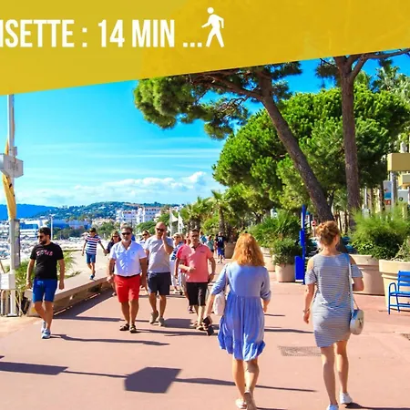 Elegant 3 Pieces Avec Terrasse - Centre - Lumineux